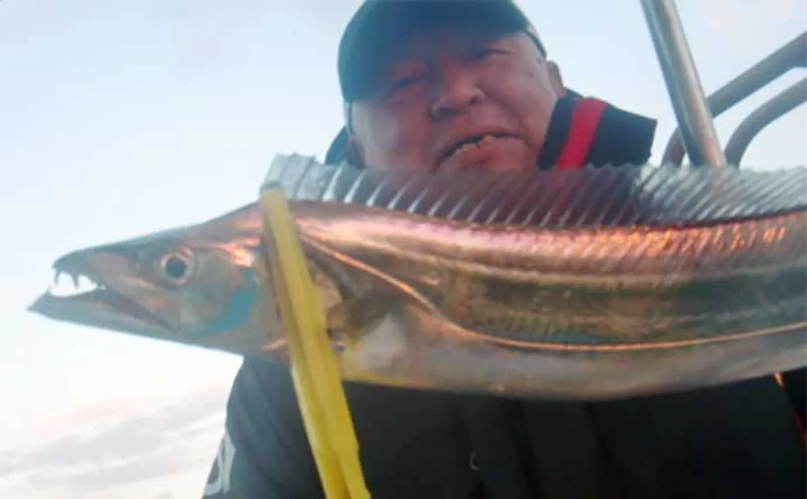 【船のエサ釣り釣果速報】泳がせ釣りでチカメキントキに大型根魚が好反応中!(福岡)