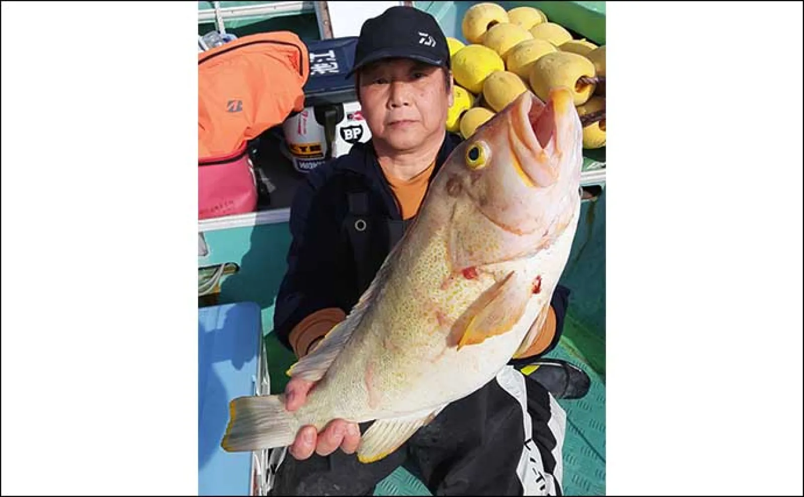 【船のエサ釣り釣果速報】泳がせ釣りでチカメキントキに大型根魚が好反応中!(福岡)