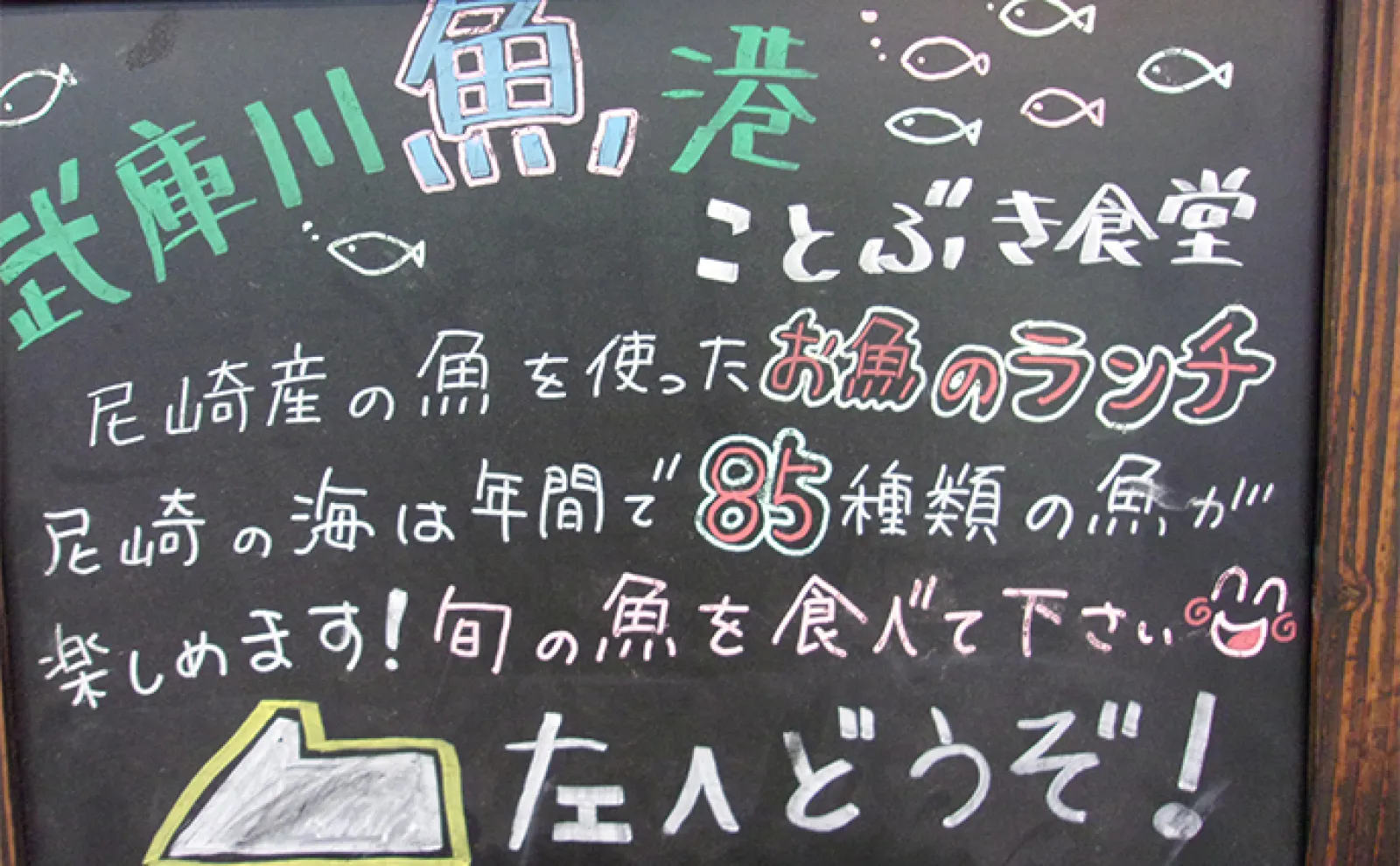 知っておきたい【武庫川一文字渡船の利用の際の注意点】釣り場選択の自由がないことも?