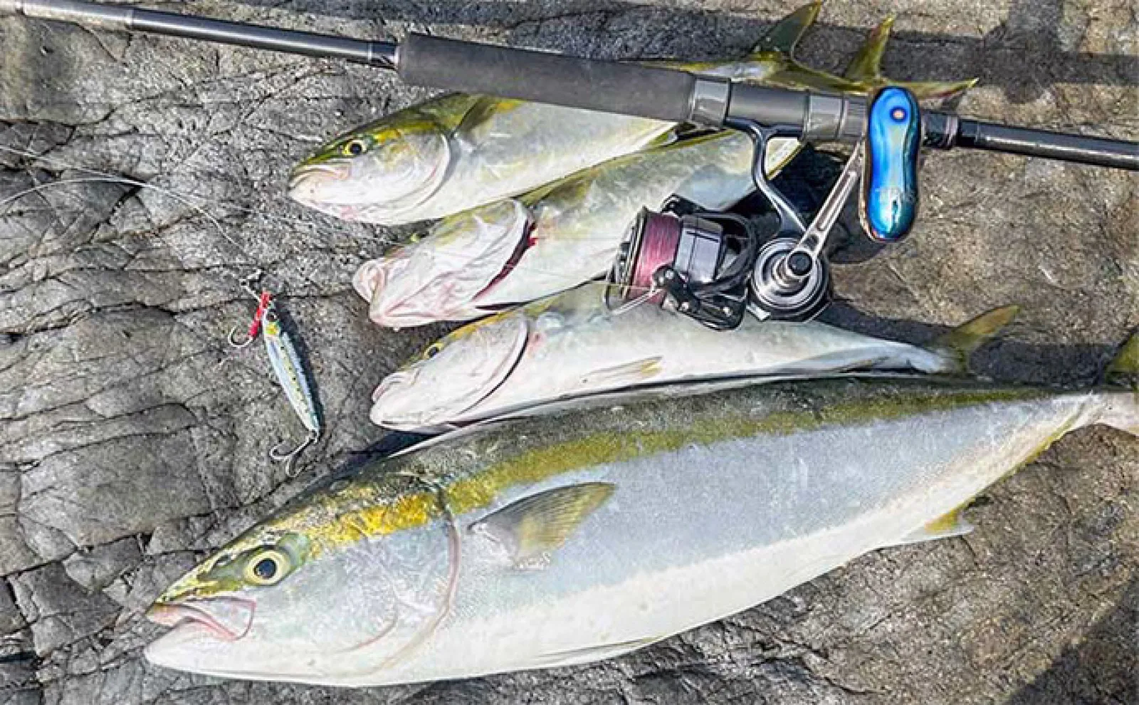 釣具屋店員156人に聞く【2024年・人気だった釣りランキング】 今年のトレンド予想も発表!