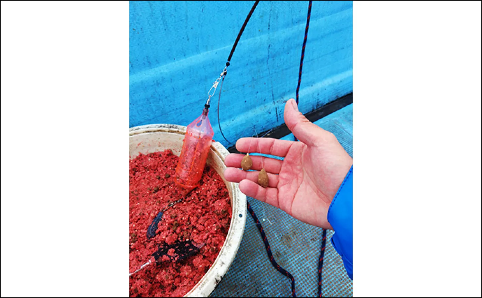 串本カセの「ご当地釣法」が面白い!【和歌山】ペレットで狙う通称ペレマダイで70cm超えズドン