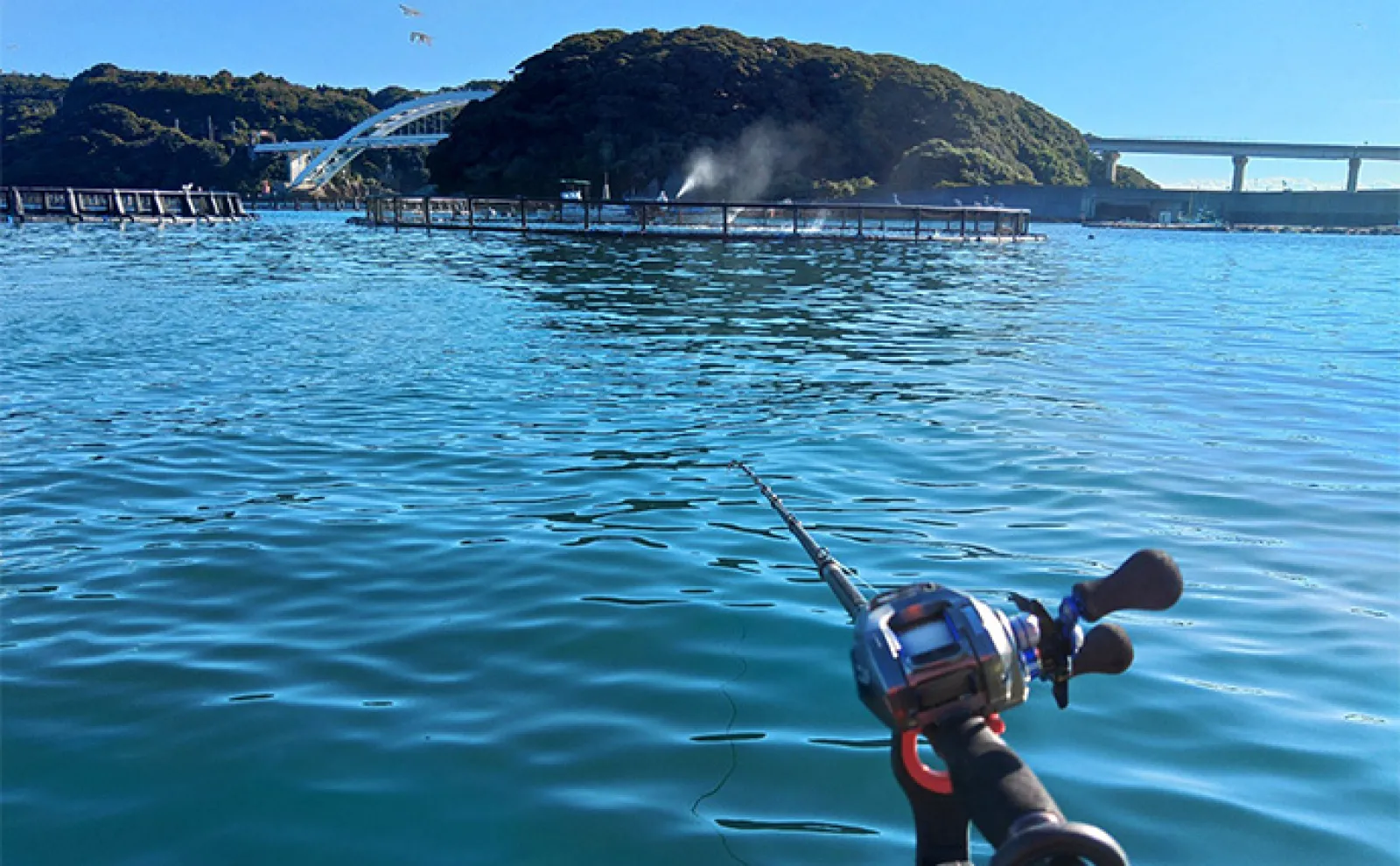 串本カセの「ご当地釣法」が面白い!【和歌山】ペレットで狙う通称ペレマダイで70cm超えズドン