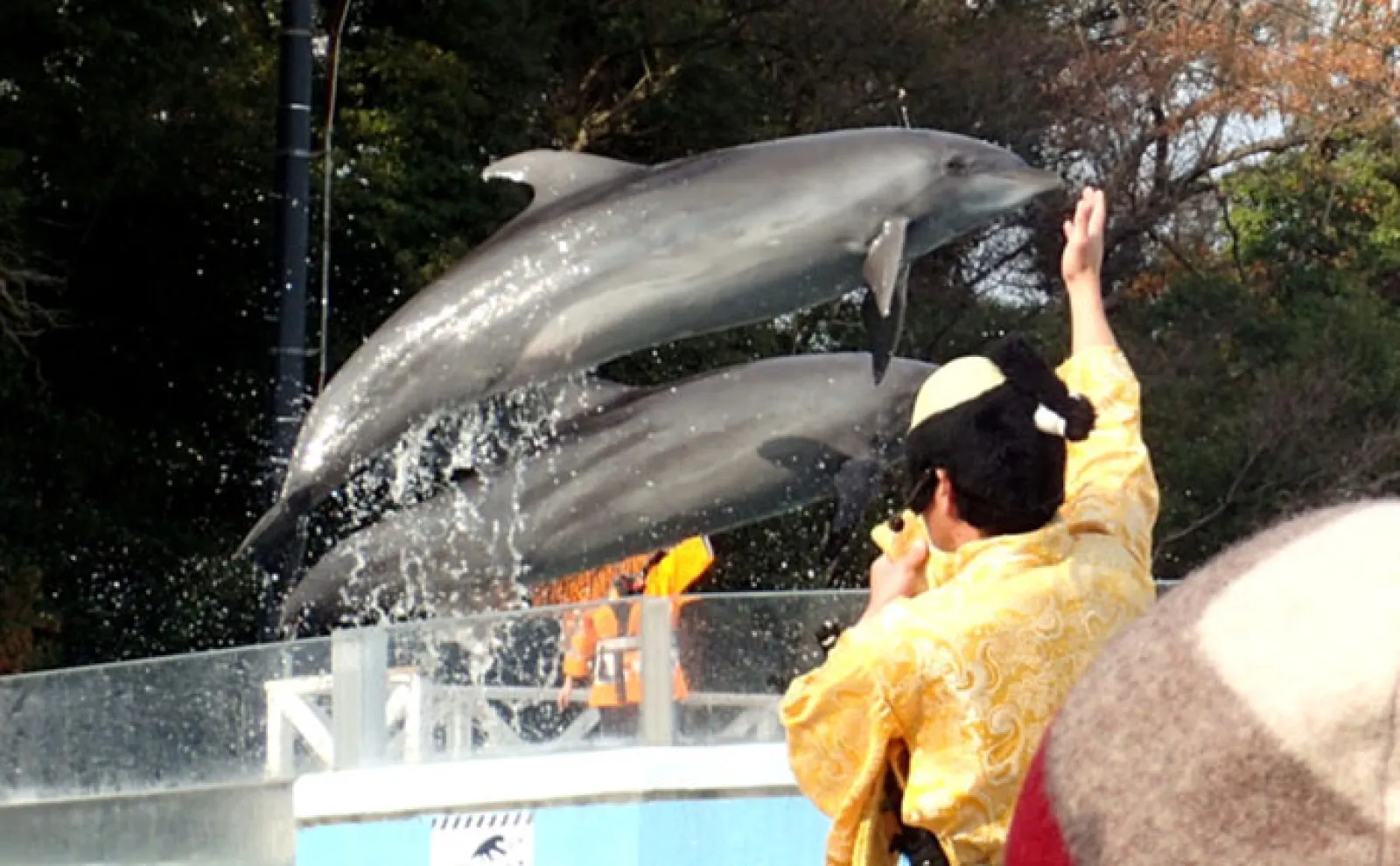 ユニークな魅力がたくさんの『新屋島水族館』にいる「銭形」と「世直し侍」とは?