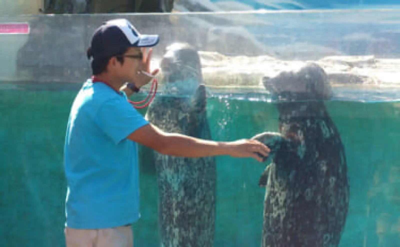 ユニークな魅力がたくさんの『新屋島水族館』にいる「銭形」と「世直し侍」とは？