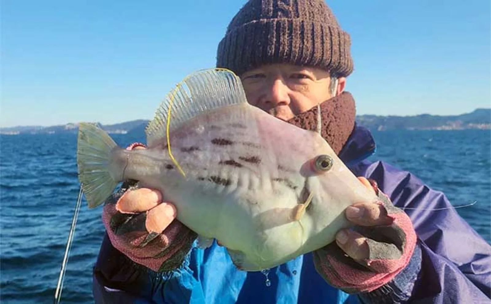 関東エリアの【船釣り特選釣果】東京湾カワハギ釣りが年明けも好調継続中!
