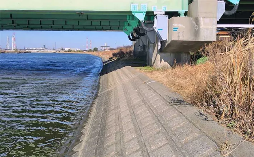釣り場を【釣りせず散策】してみた　釣りをしないからこそ見えてくる「景色」とは？