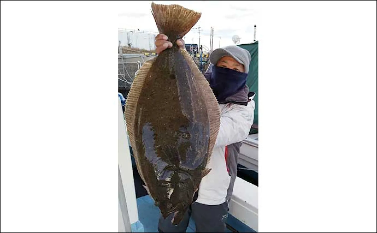 【船のエサ釣り釣果速報】玄界灘の沖五目釣りで大型アマダイ浮上!(福岡)