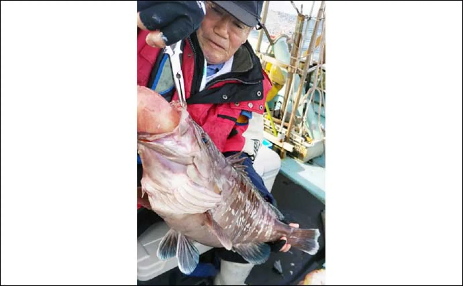【船のエサ釣り釣果速報】玄界灘の沖五目釣りで大型アマダイ浮上!(福岡)