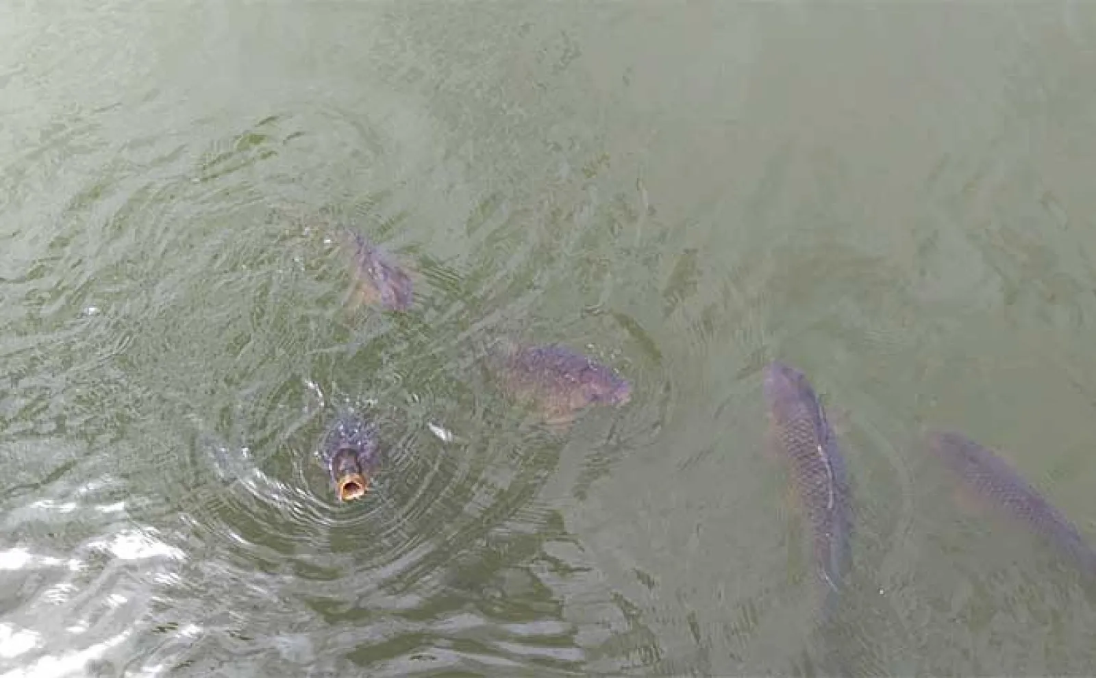釣り場の地震対策は【心構えと徒歩での避難】が重要 釣り人的備えとは?