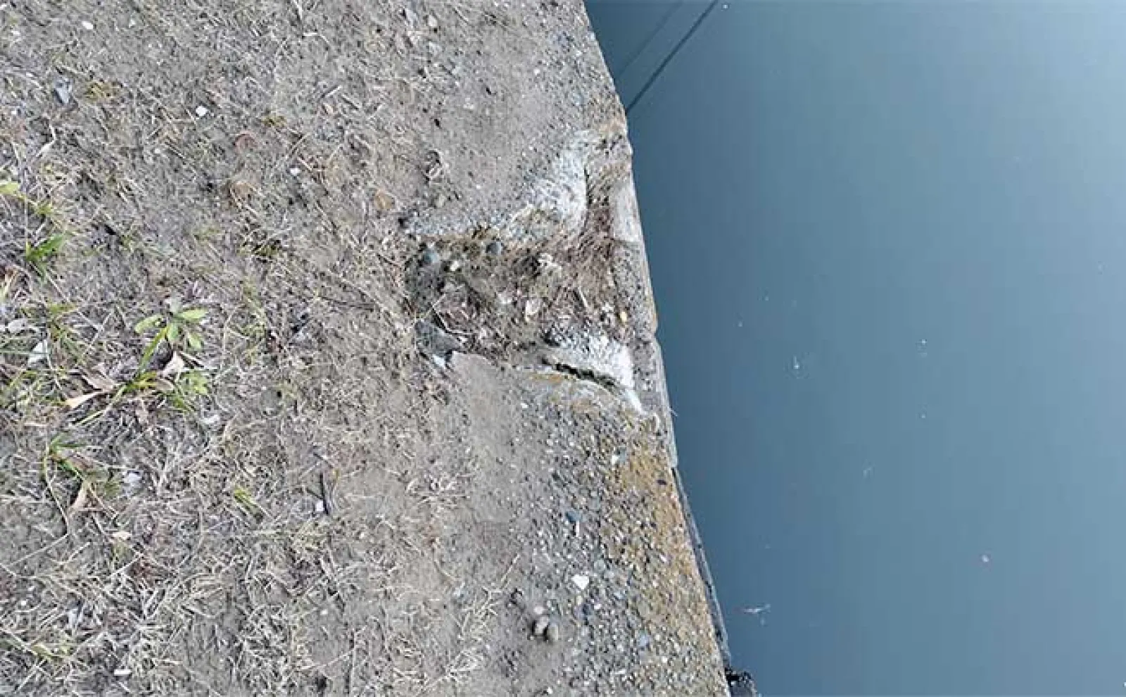 釣り場の地震対策は【心構えと徒歩での避難】が重要 釣り人的備えとは?