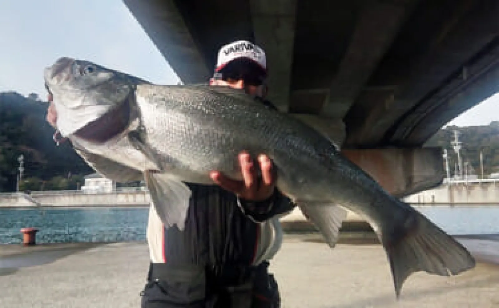 本州最南端のメッキゲームで85cmヒラスズキに50cmヒラメをキャッチ