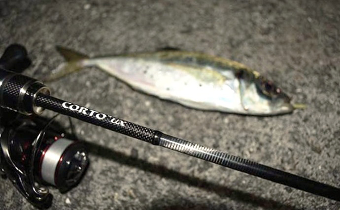 アジング＆メバリングロッドの進化が止まらない！」オリムピック2025