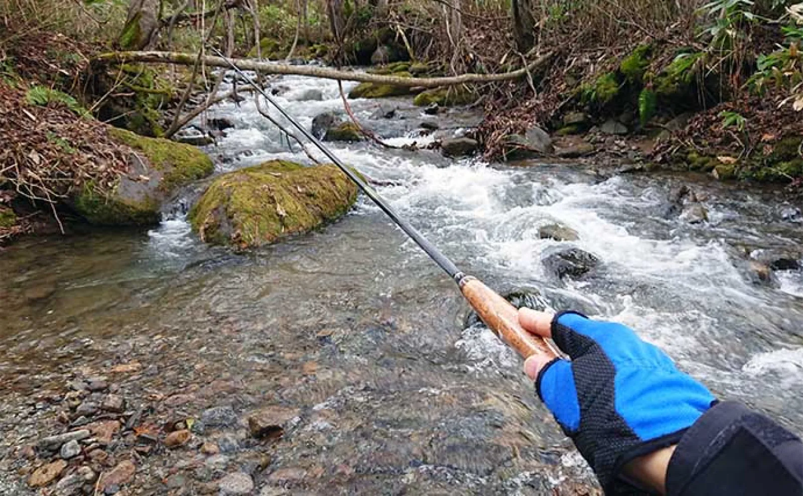 シンプルさが魅力！」渓流テンカラ釣りタックルを徹底解説 【竿