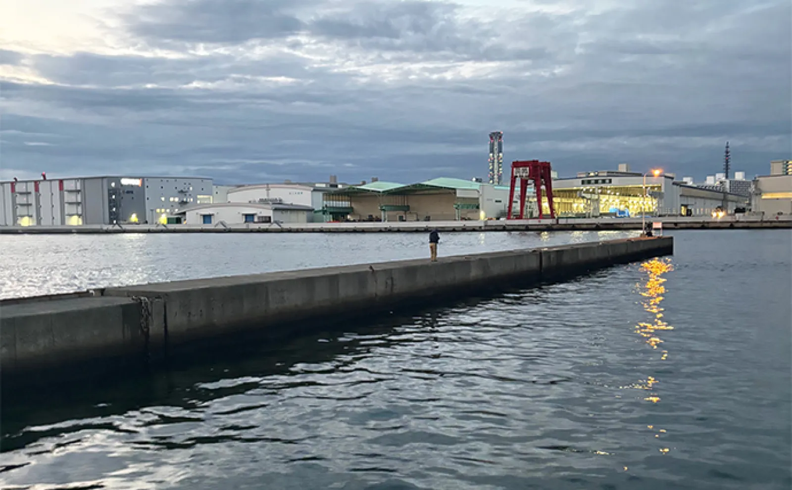 「海でもタバコはダメ!」大阪市内全域で路上喫煙が禁止に 加熱式たばこもNG?
