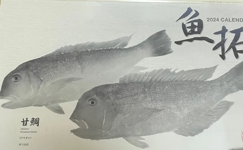 「死んだ魚のような目ってどんな目？」サカナに関する著名なことわざ／慣用句3選　