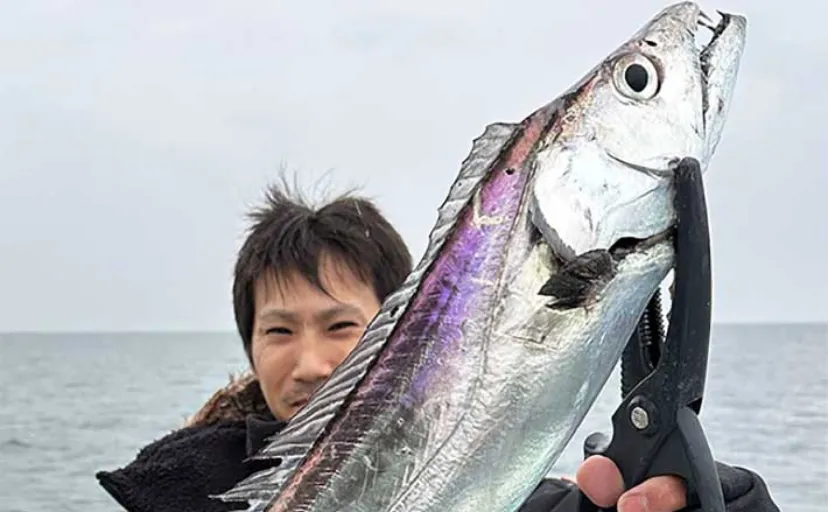 【船釣り釣果速報】島原沖のタチウオ釣りでドラゴンサイズ続々！（大分・熊本）