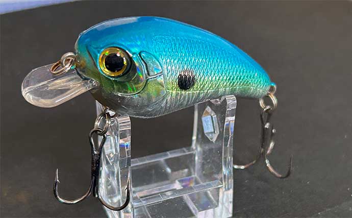 ブラックバス用ルアーはショアジギングに流用可能？ 注意点を押さえれ