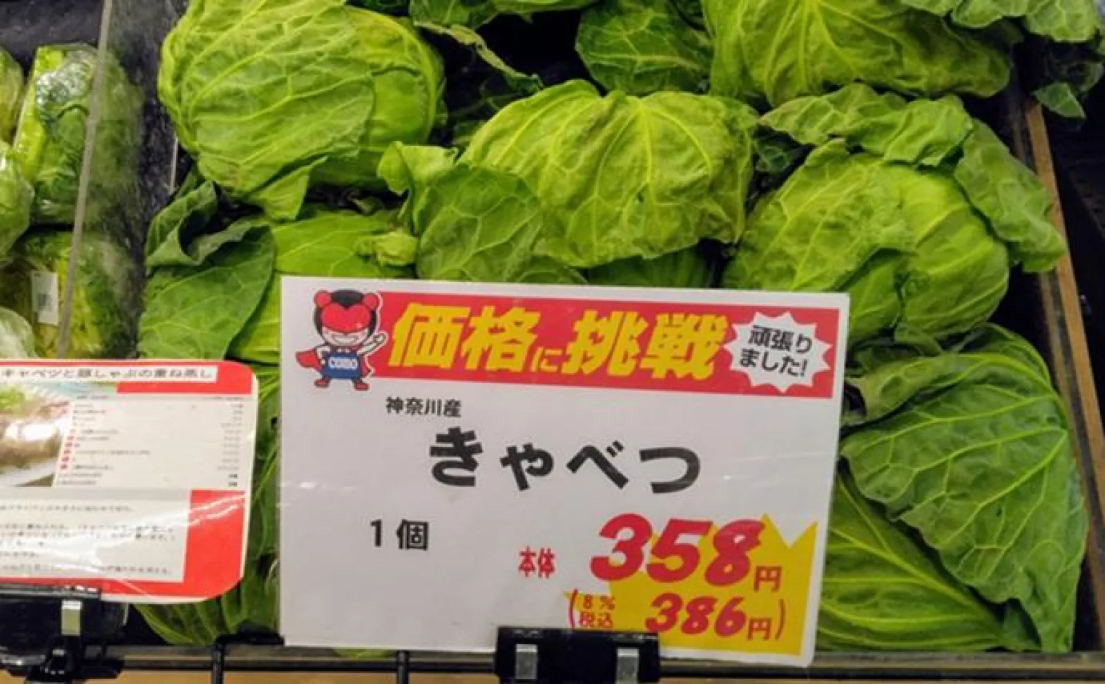 「食材高騰から家計を守る!」野生のセリ採りのススメ【埼玉・荒川】