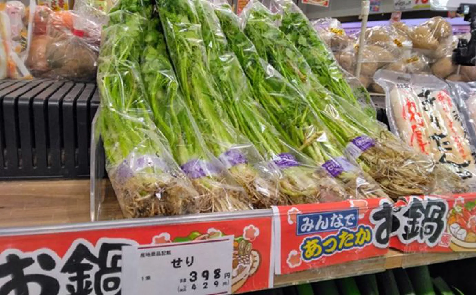 「食材高騰から家計を守る!」野生のセリ採りのススメ【埼玉・荒川】