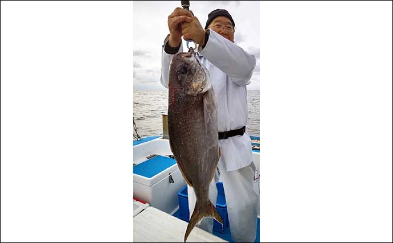 【船のエサ釣り釣果速報】ひとつテンヤでアマダイを連打!(福岡)