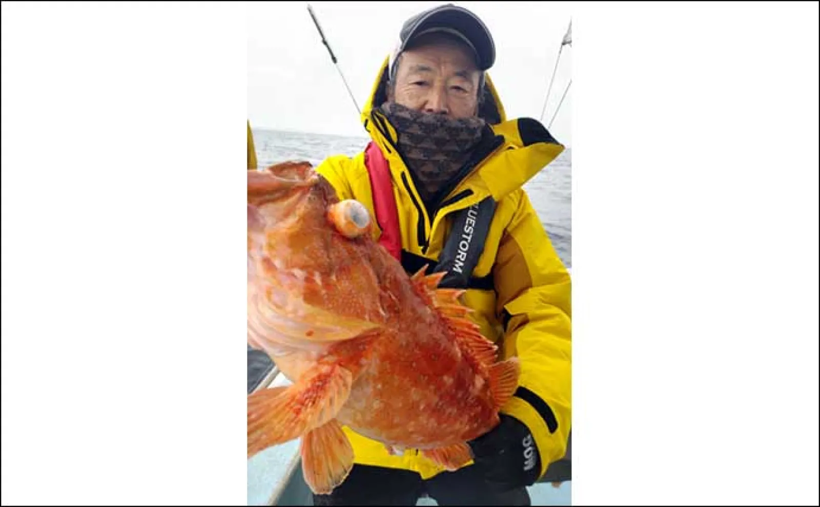 【船のエサ釣り釣果速報】ひとつテンヤでアマダイを連打!(福岡)