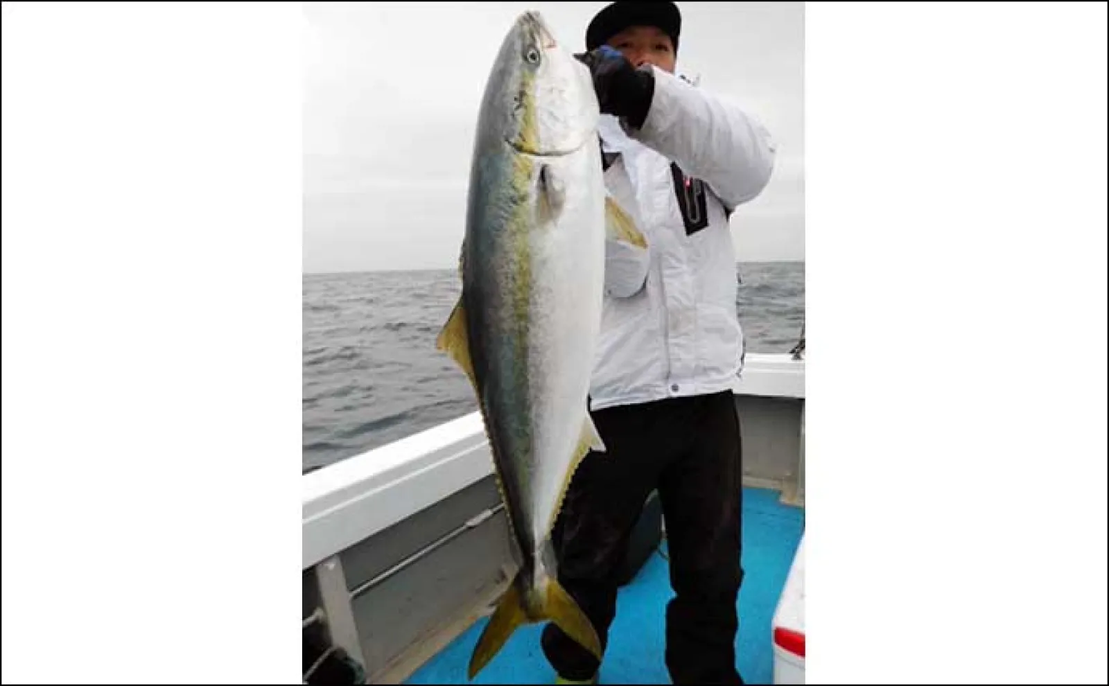 【船のエサ釣り釣果速報】ひとつテンヤでアマダイを連打!(福岡)