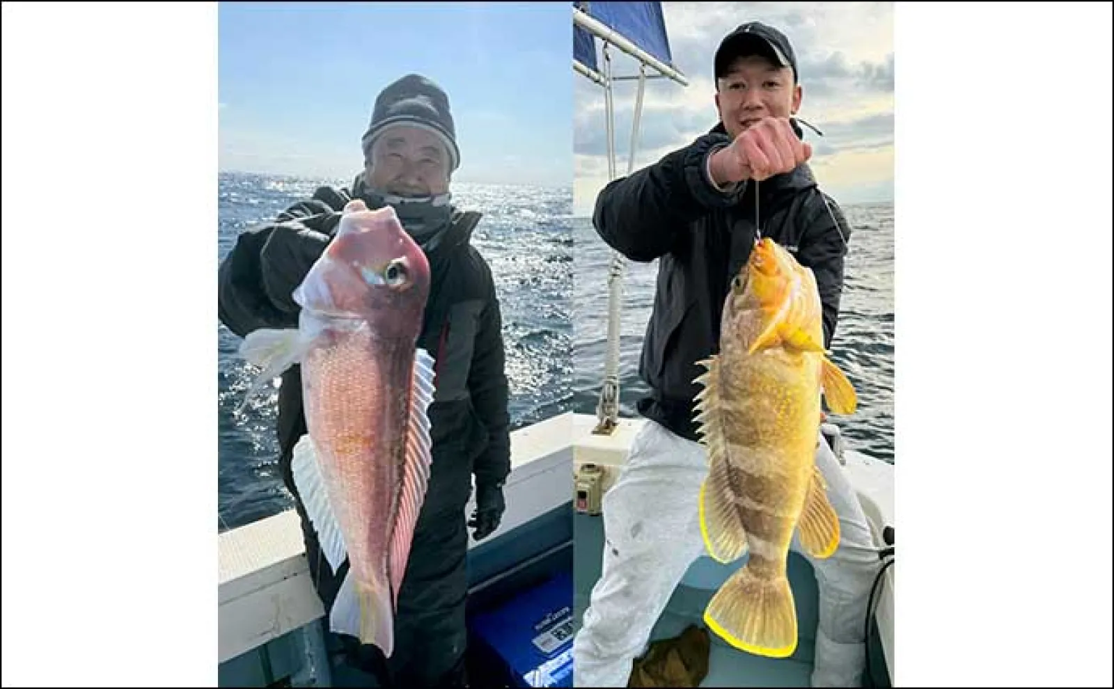 【船のエサ釣り釣果速報】ひとつテンヤでアマダイを連打!(福岡)