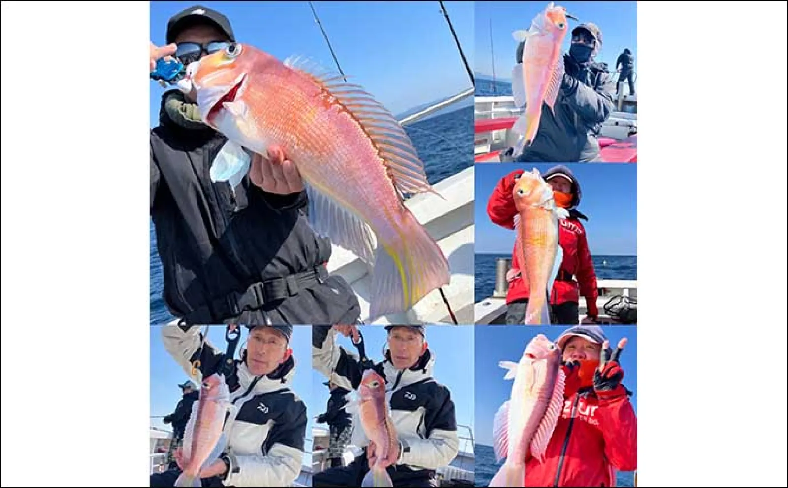 【船のエサ釣り釣果速報】ひとつテンヤでアマダイを連打!(福岡)