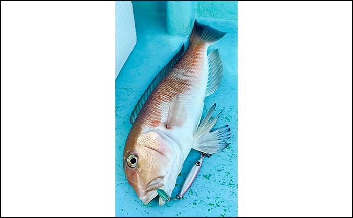 幻のシロアマダイをジギングで攻略【大分沖】45cm級本命をキャッチ成功