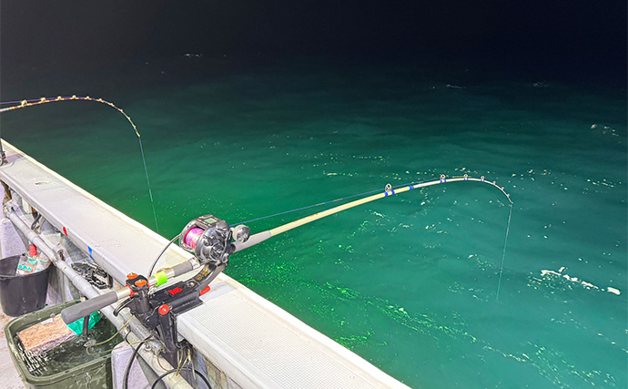 電気釣り 直江津沖の「電気ブリ釣り」で11.2kgの極太寒ブリを捕獲成功【新潟・里