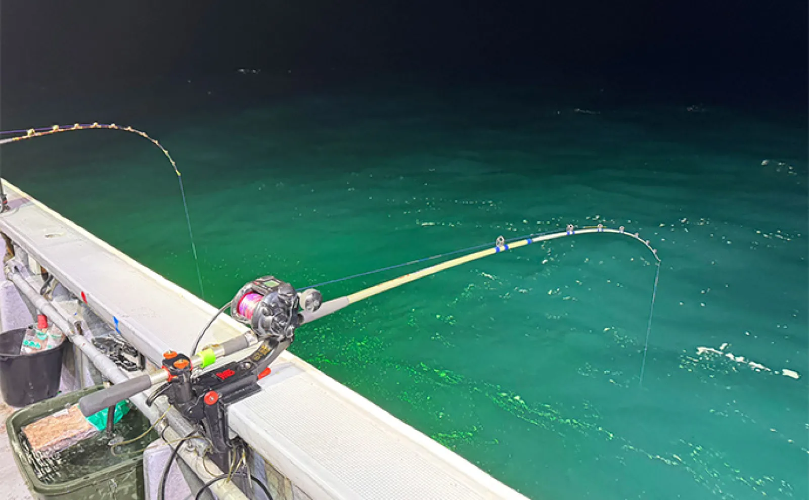 直江津沖の「電気ブリ釣り」で11.2kgの極太寒ブリを捕獲成功【新潟・里