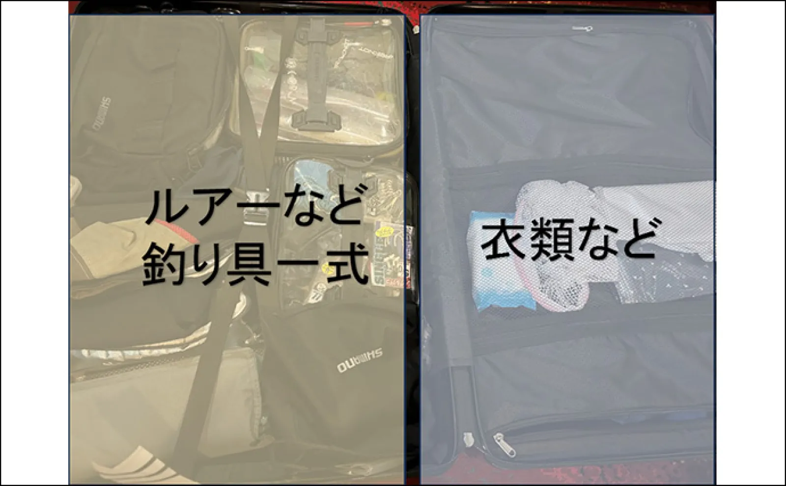 「憧れのGTを求めてパラオへ!」海外遠征釣行の準備を解説【予約・パッキング・Wi-Fi】