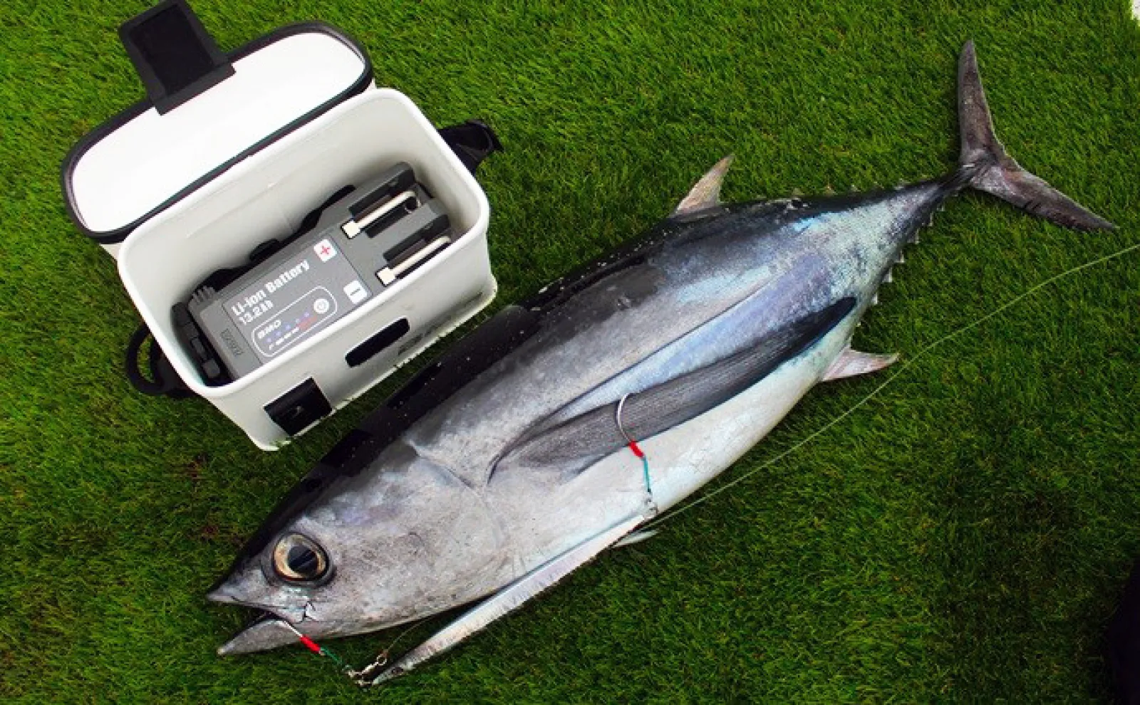 【電動リールとリチウムイオンバッテリー】でマグロ連打! トンジギに電動が断然オススメなワケとは?
