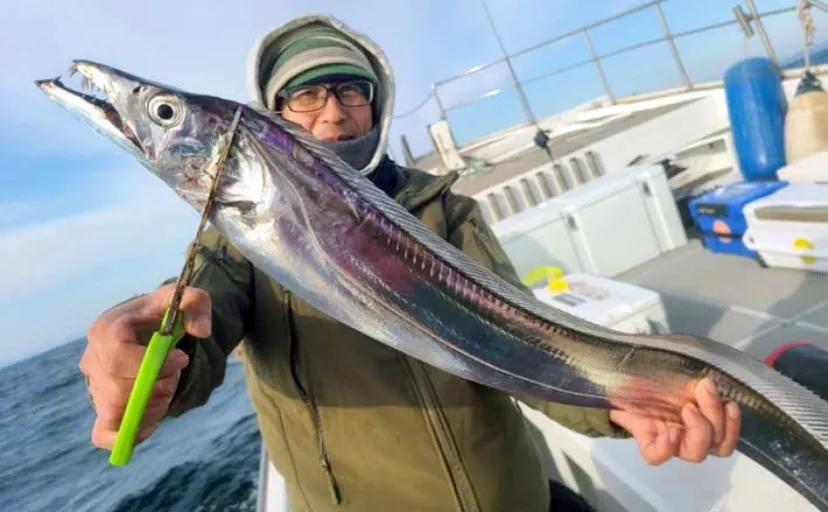 【船釣り釣果速報】島原沖のタチウオ釣りで指幅7本級ドラゴン堂々浮上！（大分・熊本）