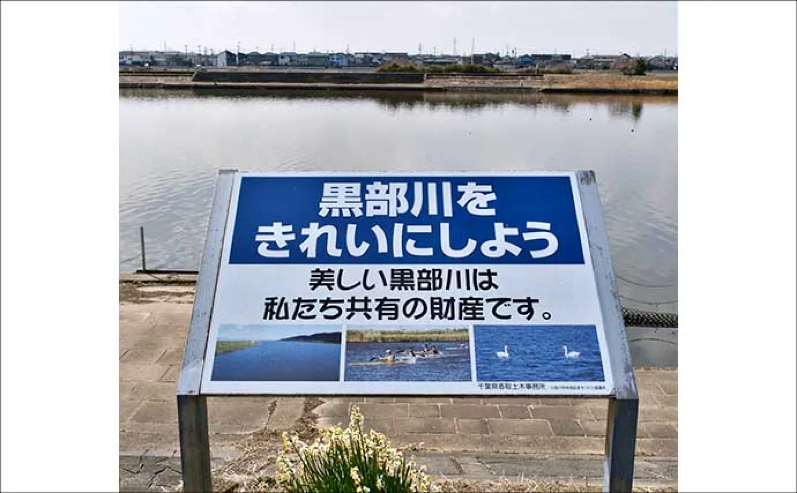 今週のヘラブナ推薦釣り場2025【千葉・黒部川】