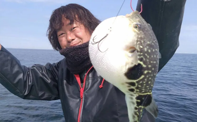 関東エリアの【船釣り特選釣果】東京湾のトラフグシーズン開幕でトップ5尾