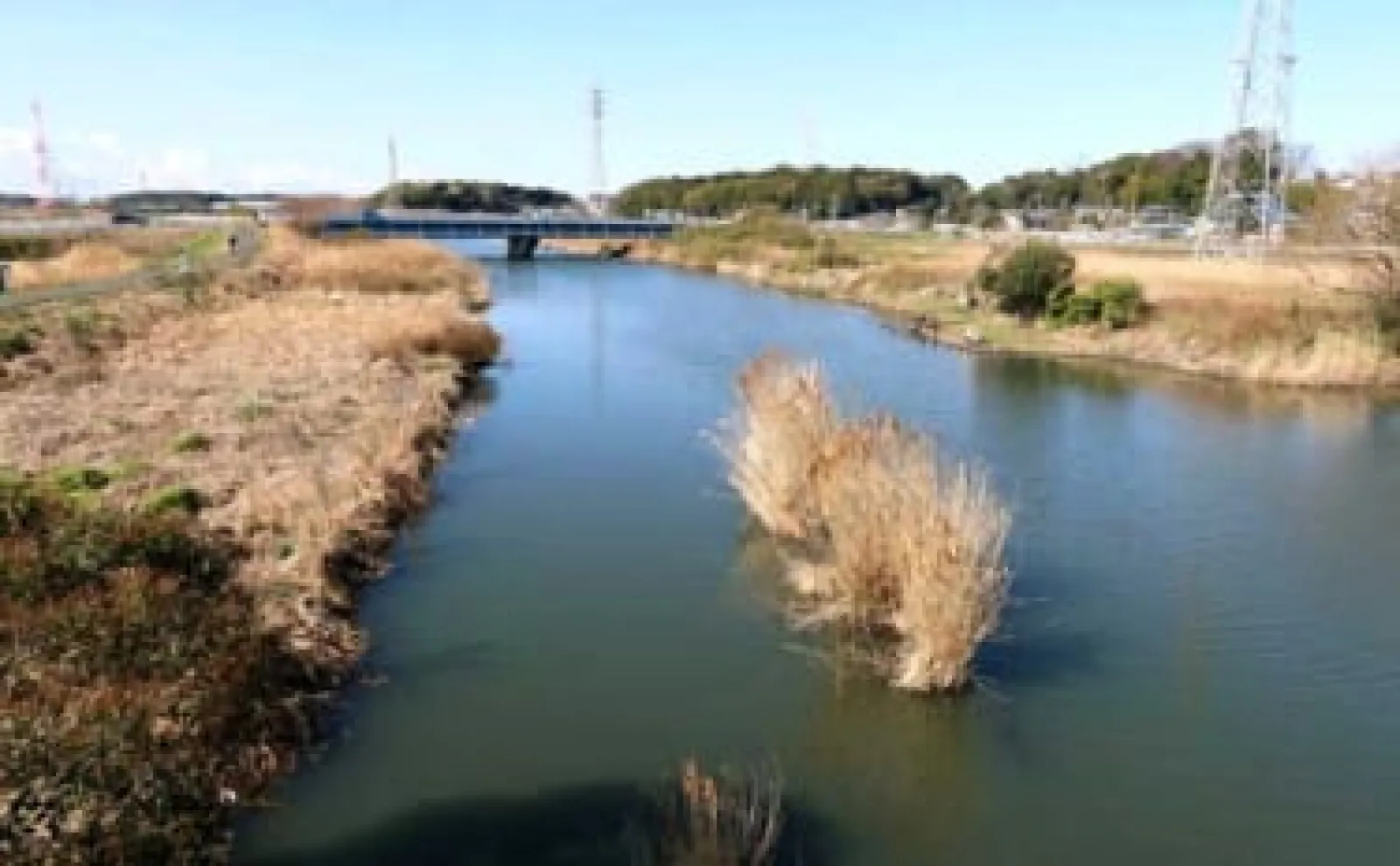 今週のヘラブナ推薦釣り場2025【千葉県・大津川】