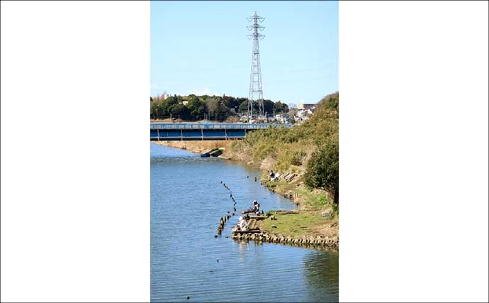 今週のヘラブナ推薦釣り場2025【千葉県・大津川】
