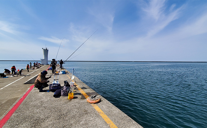 波釣り 直江津港第3東防波堤で春の大アジを釣ろう！【投げサビキ・カゴ釣り