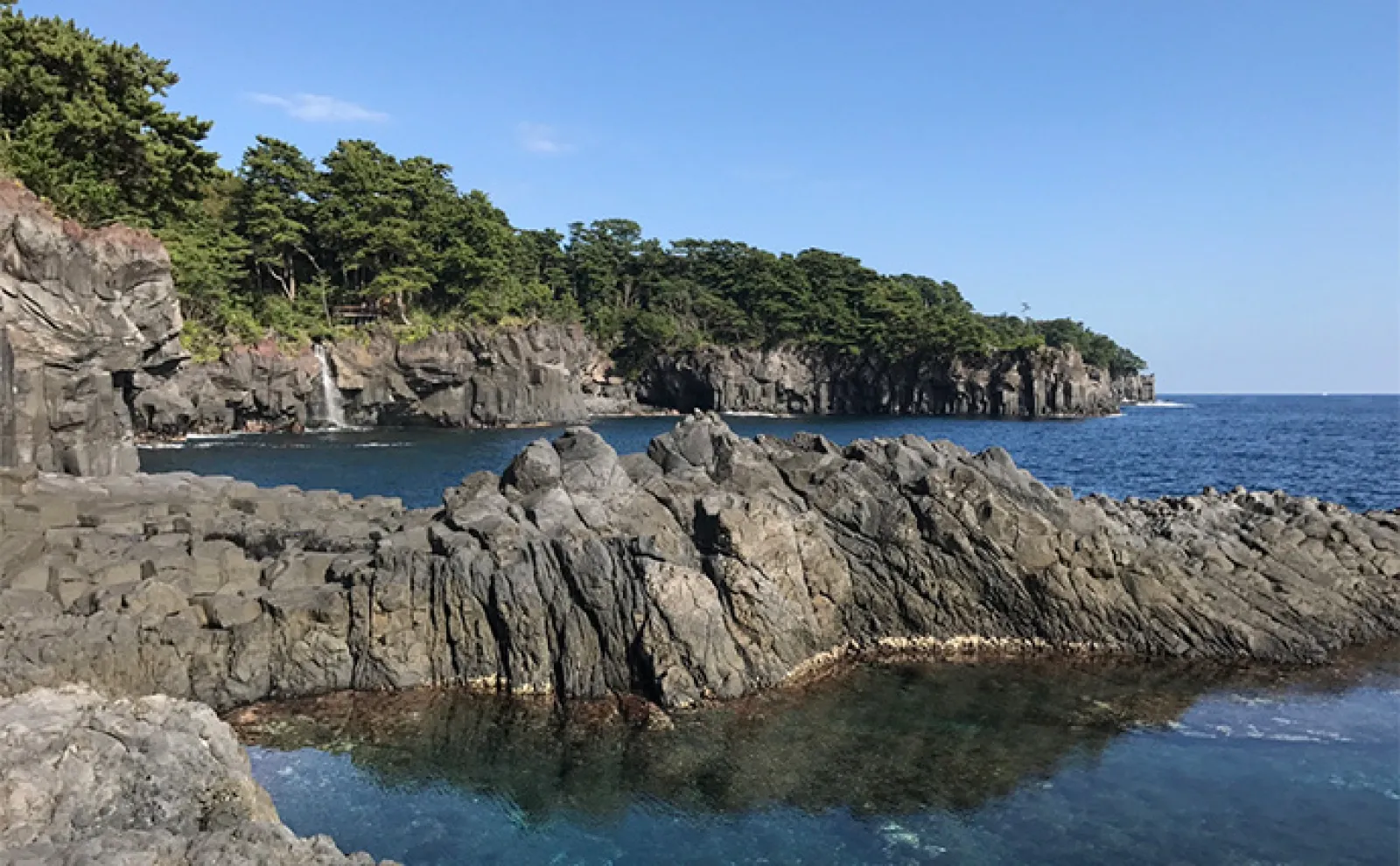 2025年伊豆エリアの【春イカ開幕時期を大胆予測】 高水温続き開幕早まるか?