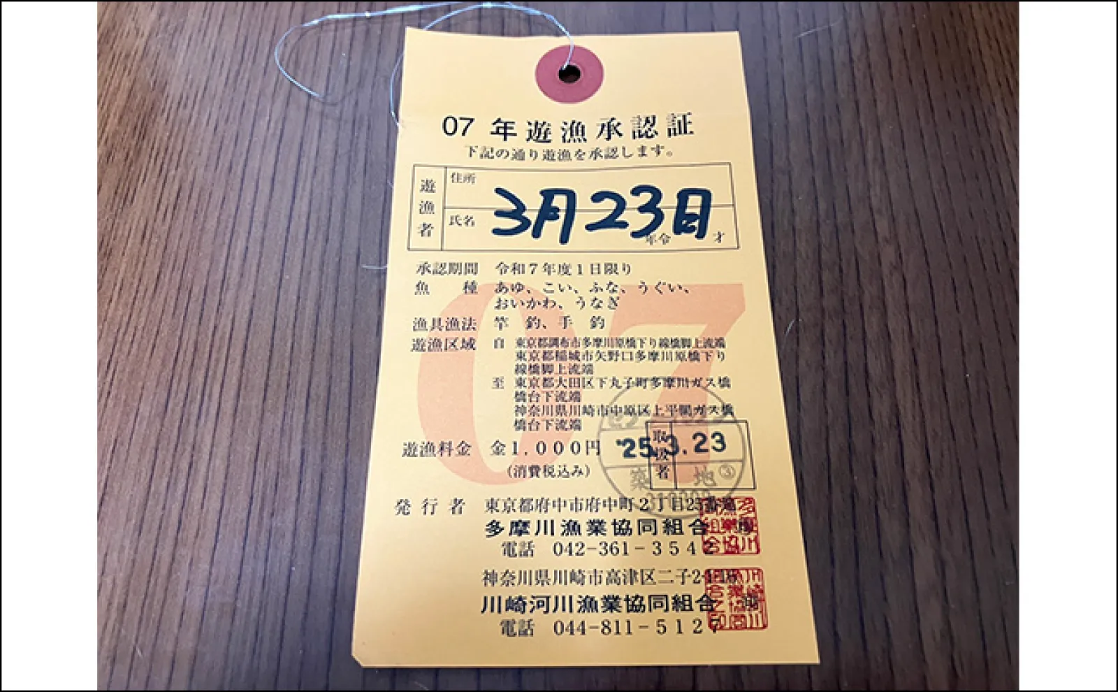【渓流釣り入門者必見!】遊漁券が必要なワケとは? 購入方法・値段・違反リスクも紹介