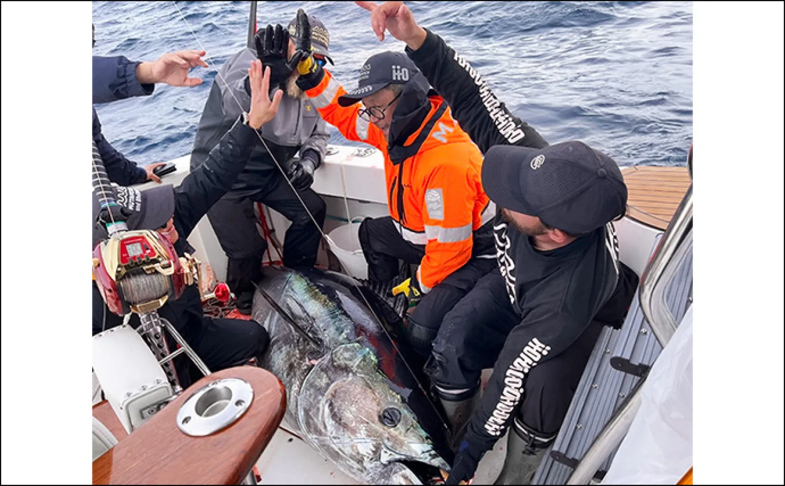 釣りにガチなIT企業が200kg超えクロマグロ釣った！【bluecode】1時間の死闘は意外な結末に？