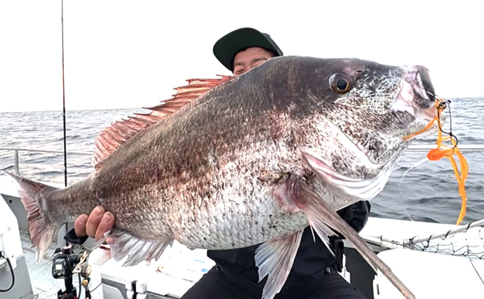 ティップランエギングで2kg超え特大アオリイカ浮上【三重】沖釣り最新釣果情報