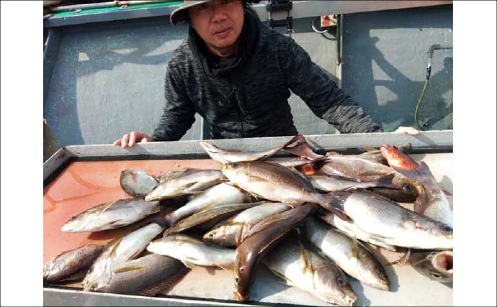 【船のエサ釣り釣果速報】響灘のアマダイ五目便でシロ・アカ共にゲット！（福岡）