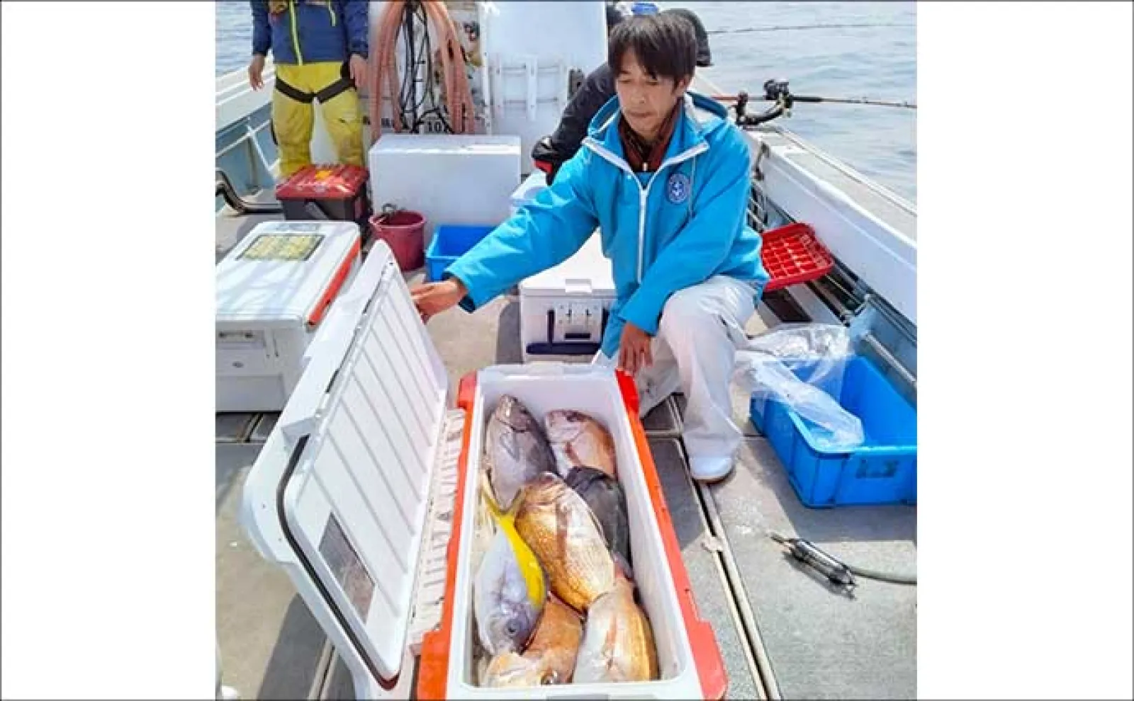 【船のエサ釣り釣果速報】響灘のアマダイ五目便でシロ・アカ共にゲット！（福岡）