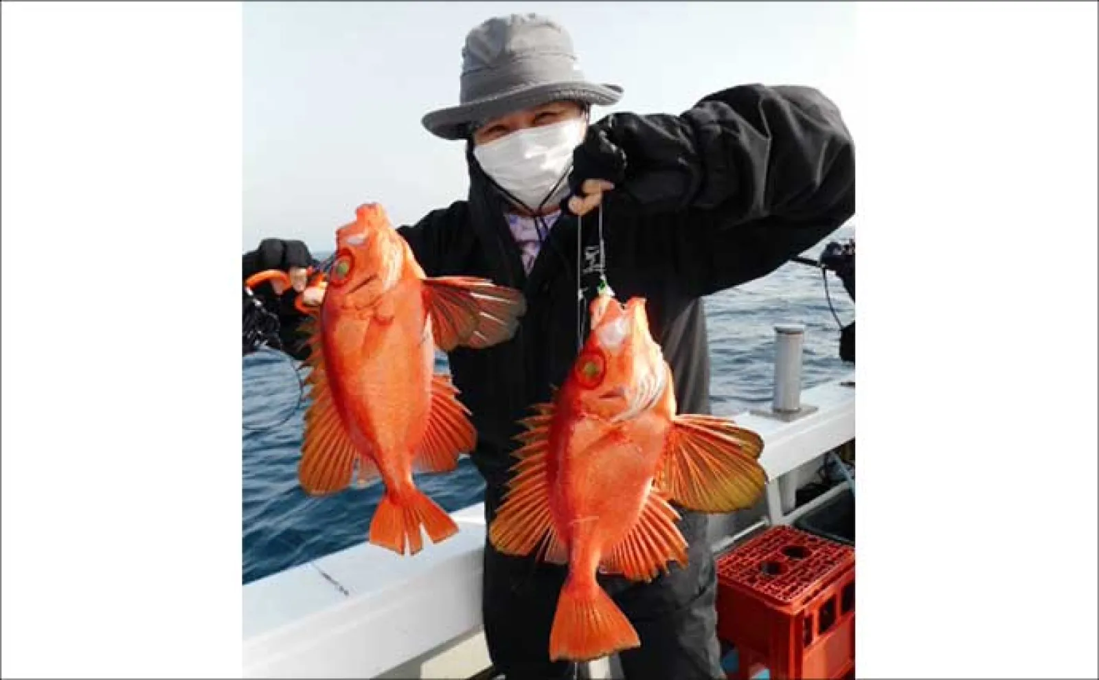 【船のエサ釣り釣果速報】響灘のアマダイ五目便でシロ・アカ共にゲット！（福岡）