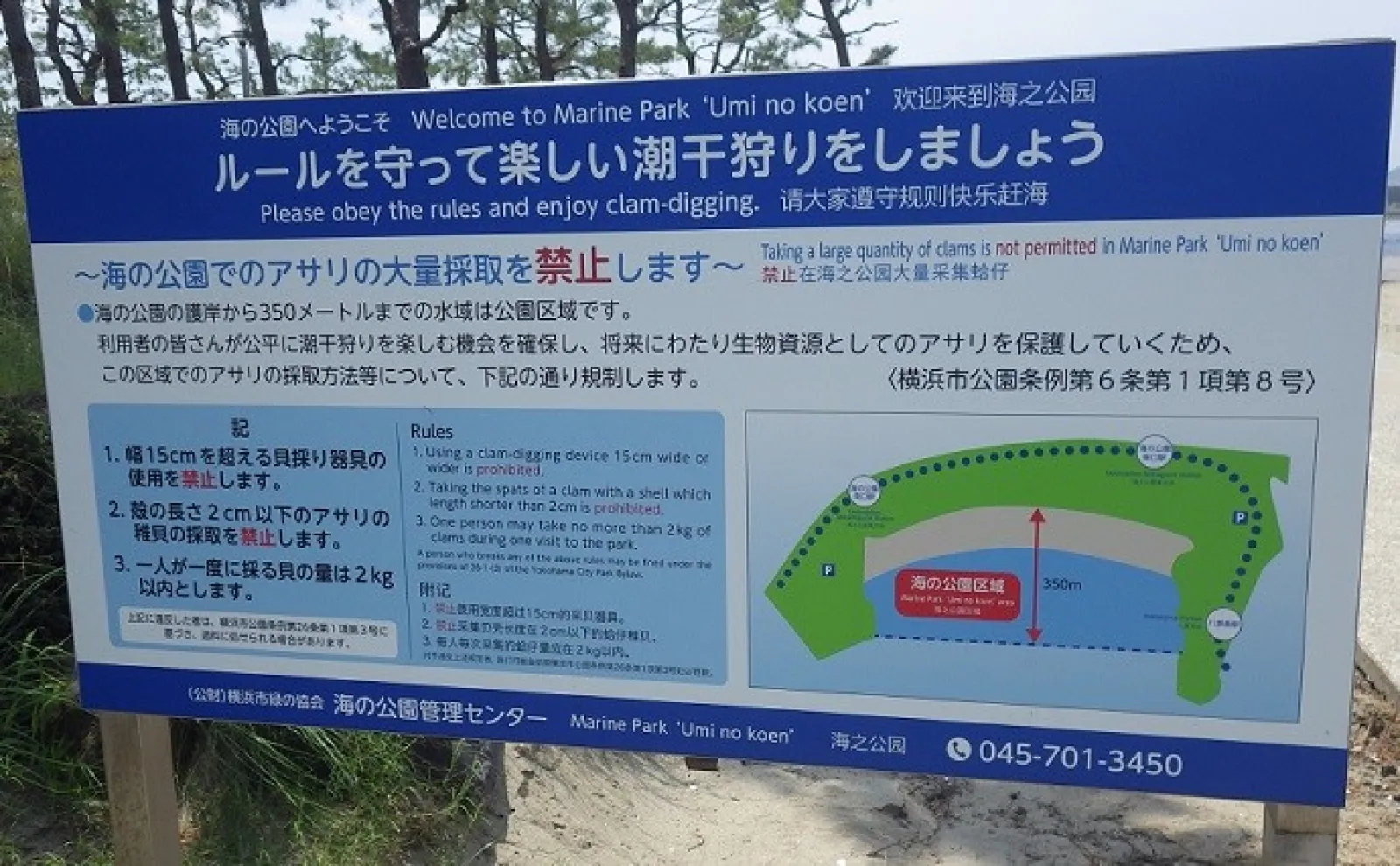 《2025年版》東京近郊の【無料潮干狩りスポット8選】 注意点やマナーも事前チェックしよう