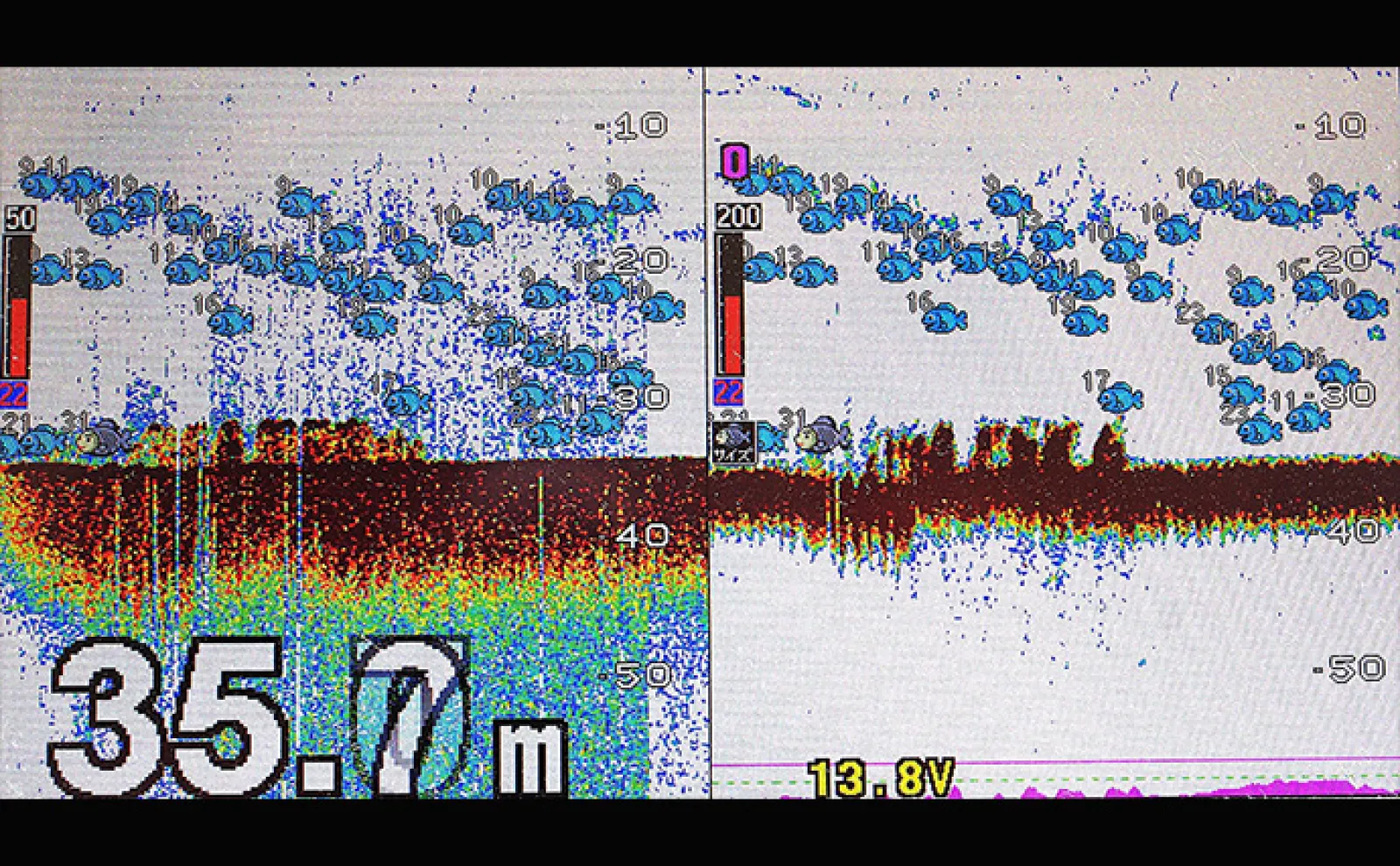 ボートでのサビキ釣りでマダイ3尾を手中【兵庫県・瀬戸内海】長サビキ