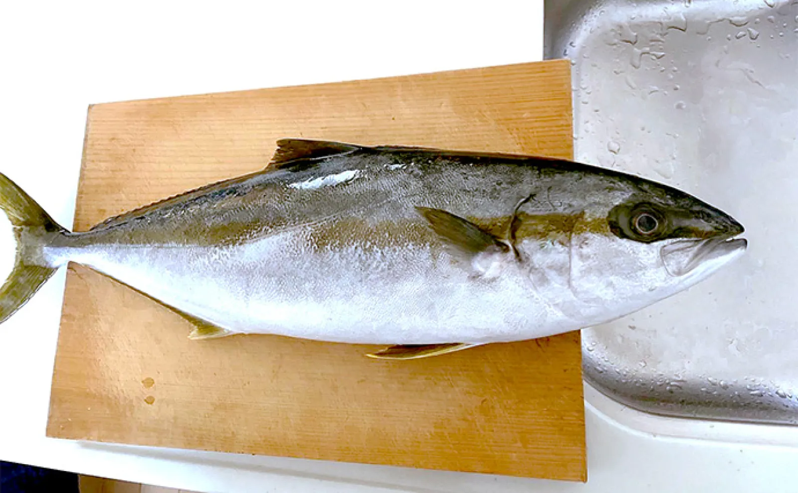 熟成のプロが解説！」魚が劇的に美味しくなる保存紙『グリーンパーチ