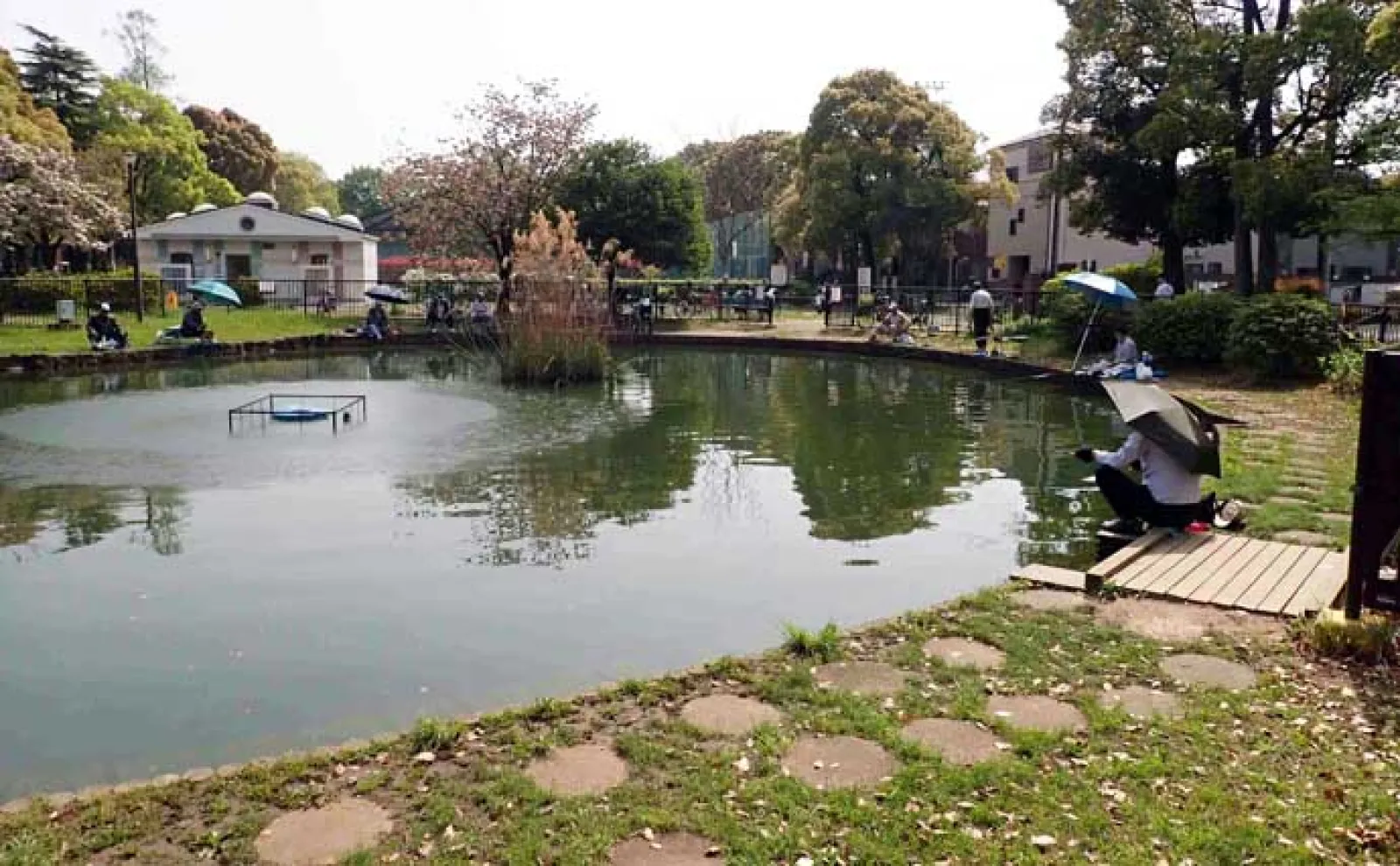 「都内で気軽に小物釣り!」ヘラブナやタナゴ釣りが楽しめる元渕江公園を紹介【東京】